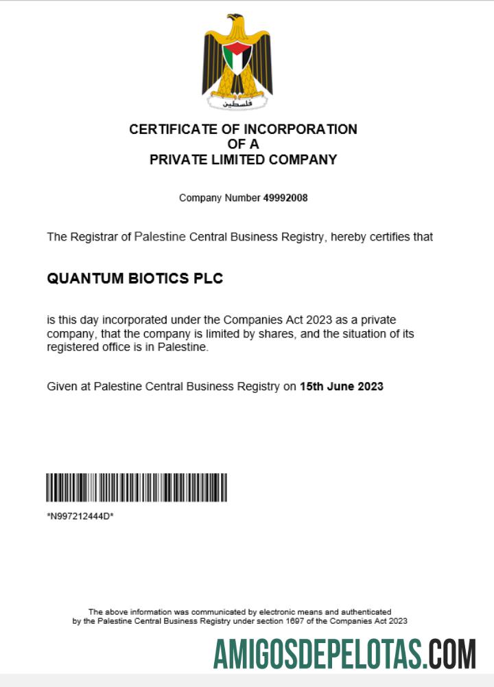 Modelo realista de certificado de registro comercial da Palestina em Word e PDF